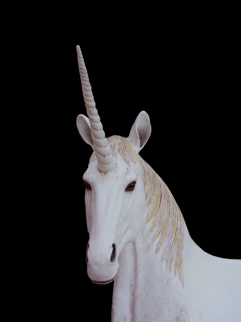 Unicorn Cave